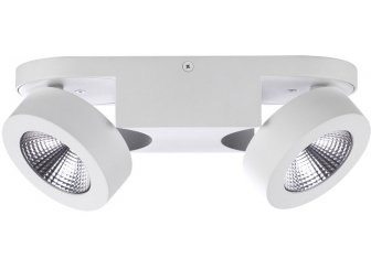 Потолочный светильник Laconis 3538/2LC