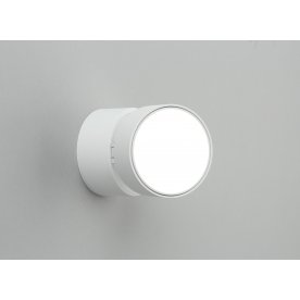 Потолочный светильник Lenno OML-101309-12