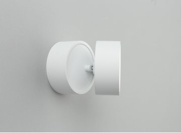 Потолочный светильник Lenno OML-101309-12