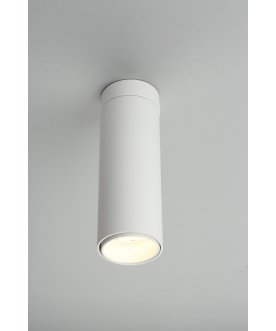 Потолочный светильник Montella OML-101409-12