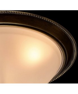 Потолочный светильник Ариадна 6 450015503