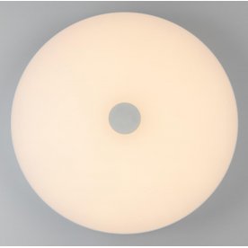 Потолочный светильник Норден 660012901