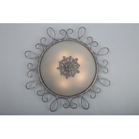 Потолочный светильник OML-74007-05