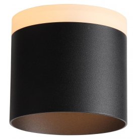 Потолочный светильник Panaggio