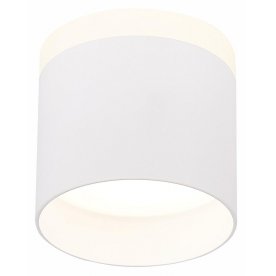 Потолочный светильник ST102.542.09