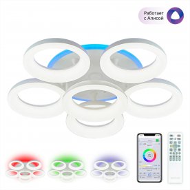 Потолочный светильник CL225A160E