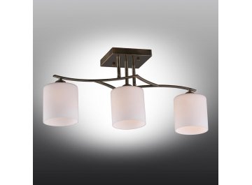 Потолочный светильник Pisticci OML-55317-03