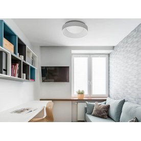 Потолочный светильник Ривз 674016601