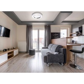 Потолочный светильник Ривз 674016801