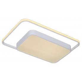 Потолочный светильник V1010-CL