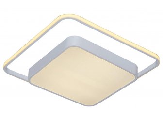 Потолочный светильник V1013-CL