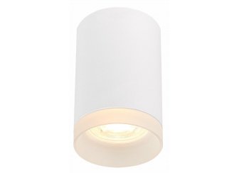 Потолочный светильник ST100.502.01