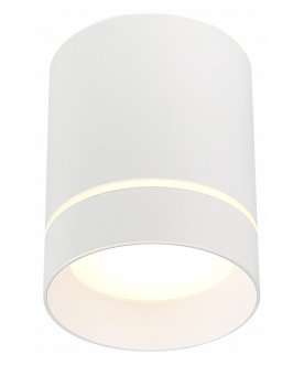 Потолочный светильник ST115.532.07