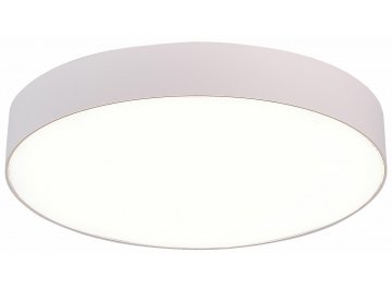 Потолочный светильник ST606.542.48