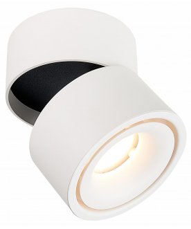 Потолочный светильник ST652.542.12