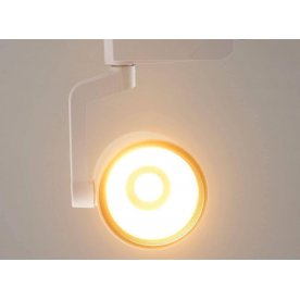 Потолочный светильник 550010301