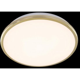 Потолочный светодиодный светильник Луна CL702222W