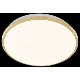 Потолочный светодиодный светильник Луна CL702302W