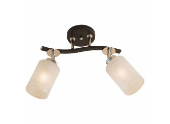 Спот Фортуна CL156121