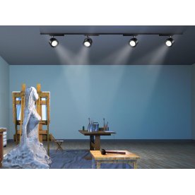 Трековый светильник Pirum 358435