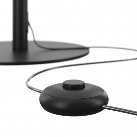 Торшер Z012FL-L18B3K