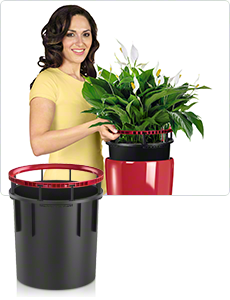 внутренний горшок