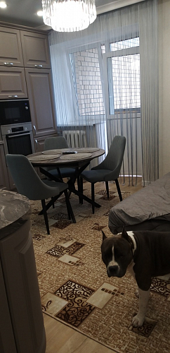 Стул Kora light purple фото покупателя 109