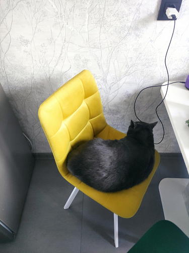 Стул на металлокаркасе Чилли К светло-серый велюр / черный каркас фото покупателя 1358