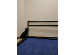 Односпальная кровать Фади 80х200 черная фото покупателя 993