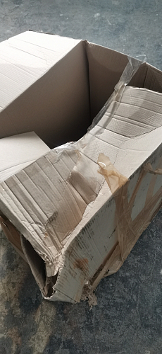 Стул Eames PC-015 yellow фото покупателя 284