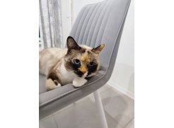 Стул на металлокаркасе Вейв П темно-серый / черный фото покупателя 128