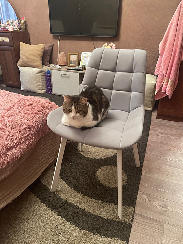 Стул на металлокаркасе Челси К бирюзовый / черный фото покупателя 11