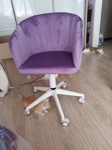 Компьютерное кресло Тибо светло-коричневый / белый фото покупателя 41