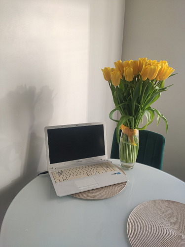 Стеклянный стол Tulip 90 white фото покупателя 2