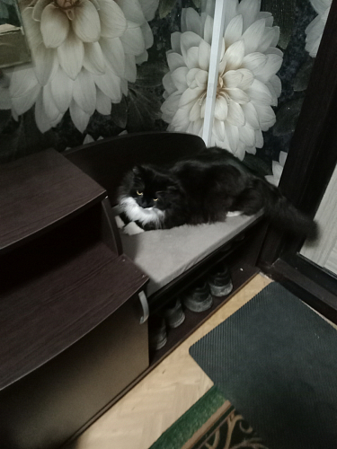 Обувница Аврора дуб млечный / венге фото покупателя 40