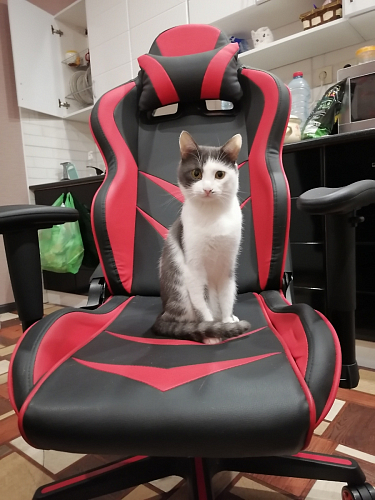 Компьютерное кресло Racer черное / оранжевое фото покупателя 44