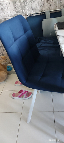 Стул на металлокаркасе Чилли К черный / зеленый фото покупателя 101