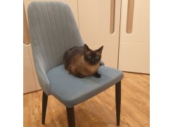 Стул на металлокаркасе Kora beige / black фото покупателя 165