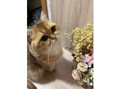 Готовая прихожая Пети дуб сонома / белый фото покупателя 81