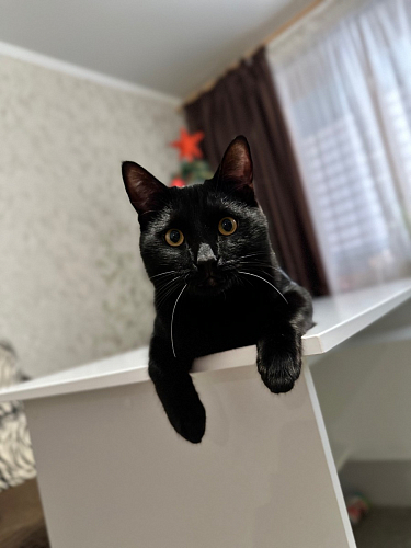 Стол письменный  СПМ-07Б фото покупателя 1