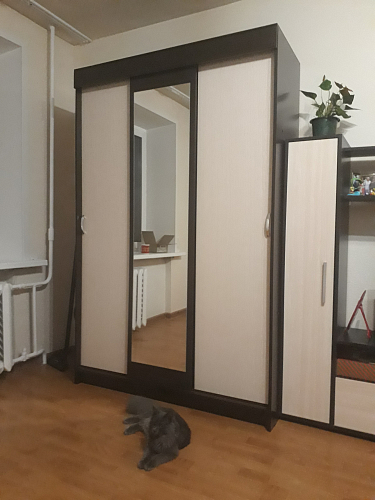 Шкаф-купе Бася ШК-551 венге / дуб белфорд фото покупателя 2