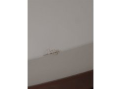 Стол Table T-06 80 фото покупателя 1