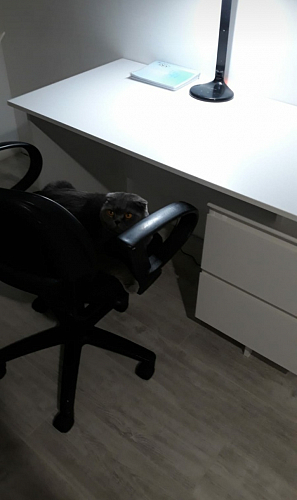 Письменный стол СПм-19 дуб юкон фото покупателя 3