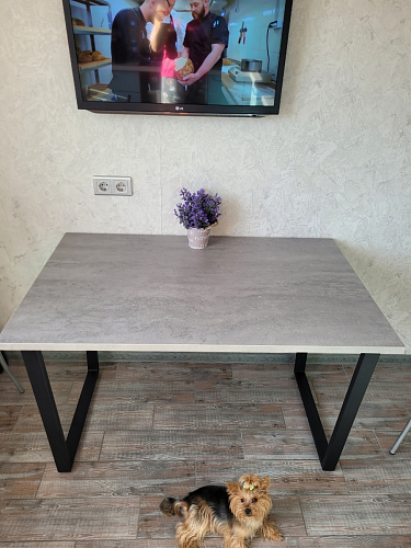 Деревянный стол Лота Лофт 120х75 белый матовый / дуб крафт золотой фото покупателя 102