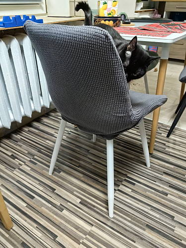 Стул на металлокаркасе Седа 360 К латте (velutto 08) / белый фото покупателя 288