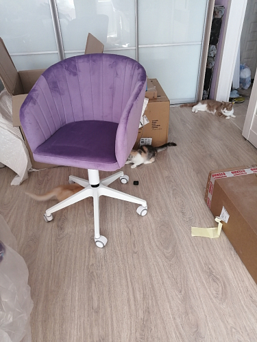 Компьютерное кресло Тибо 01 светло-коричневый / черный фото покупателя 42