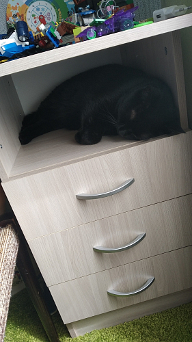 Стол письменный Бриз МДФ волна лайм / ясень светлый фото покупателя 67