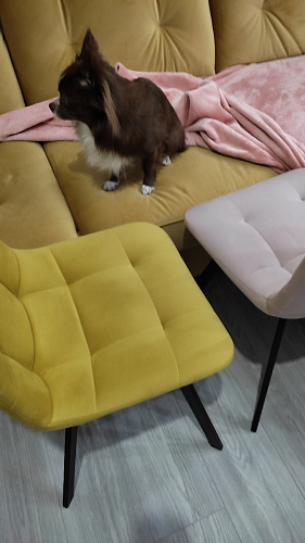 Стул на металлокаркасе Чилли бирюзовый / черный фото покупателя 883