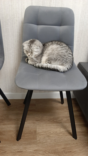 Стул на металлокаркасе Чилли синий / белый фото покупателя 1454