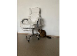 Компьютерное кресло Kolson whitе фото покупателя 22
